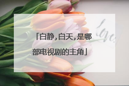 白静,白天,是哪部电视剧的主角