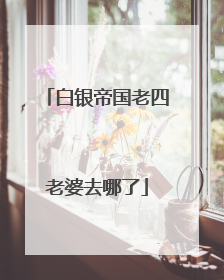 白银帝国老四老婆去哪了