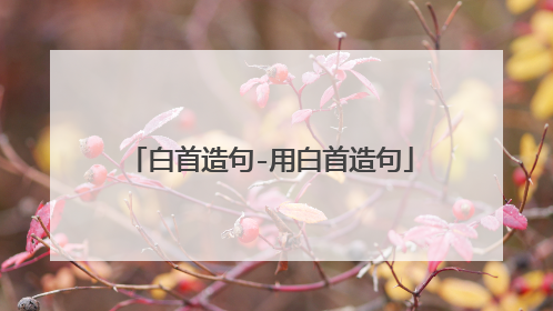 白首造句-用白首造句