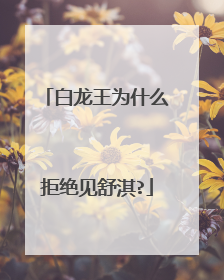 白龙王为什么拒绝见舒淇?