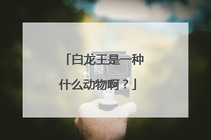 白龙王是一种什么动物啊?