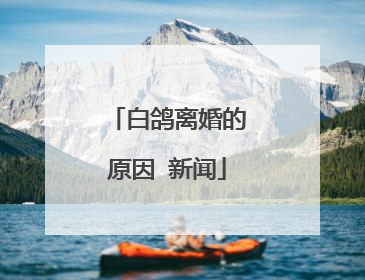 白鸽离婚的原因 新闻