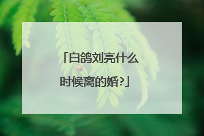 白鸽刘亮什么时候离的婚?