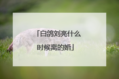 白鸽刘亮什么时候离的婚