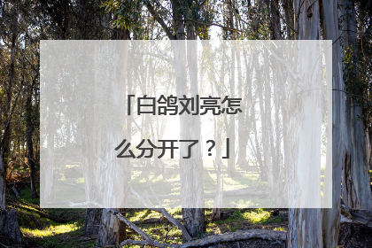 白鸽刘亮怎么分开了?