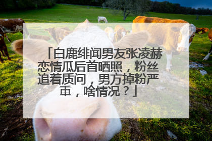 白鹿绯闻男友张凌赫恋情瓜后首晒照，粉丝追着质问，男方掉粉严重，啥情况？