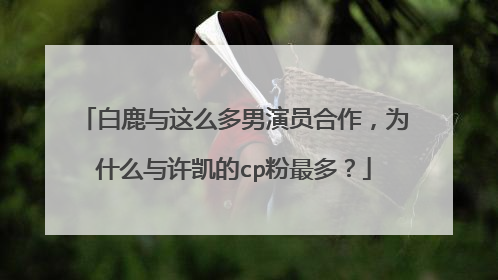 白鹿与这么多男演员合作，为什么与许凯的cp粉最多？