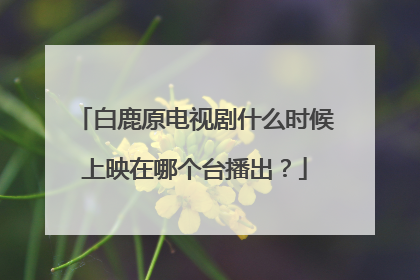 白鹿原电视剧什么时候上映在哪个台播出?