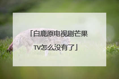 白鹿原电视剧芒果TV怎么没有了