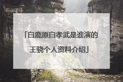 白鹿原白孝武是谁演的 王骁个人资料介绍