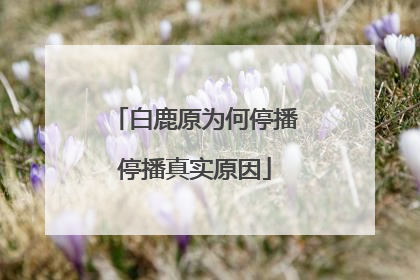 白鹿原为何停播停播真实原因