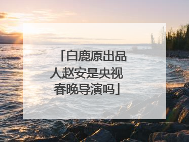 白鹿原出品人赵安是央视春晚导演吗