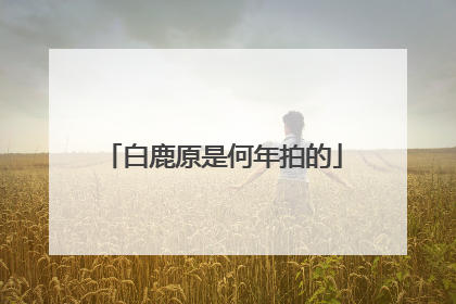 白鹿原是何年拍的