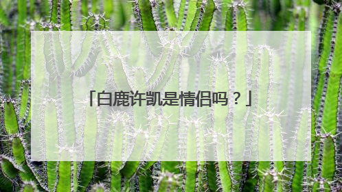 白鹿许凯是情侣吗?