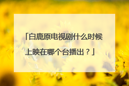 白鹿原电视剧什么时候上映在哪个台播出？