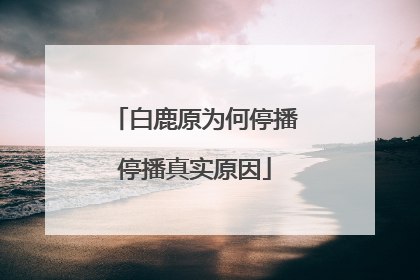 白鹿原为何停播停播真实原因