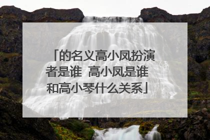 的名义高小凤扮演者是谁 高小凤是谁和高小琴什么关系