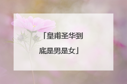 皇甫圣华到底是男是女