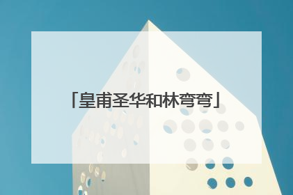 皇甫圣华和林弯弯