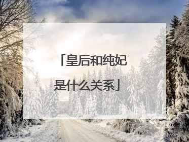 皇后和纯妃是什么关系