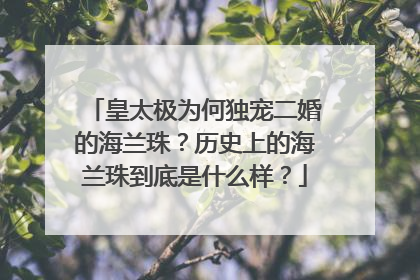 皇太极为何独宠二婚的海兰珠？历史上的海兰珠到底是什么样？