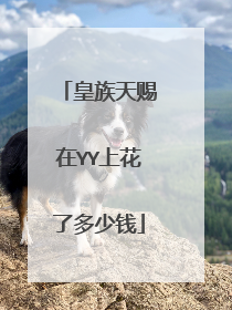 皇族天赐在YY上花了多少钱