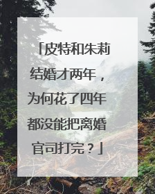 皮特和朱莉结婚才两年,为何花了四年都没能把离婚官司打完?