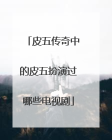皮五传奇中的皮五扮演过哪些电视剧