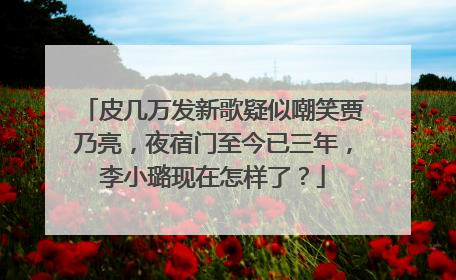 皮几万发新歌疑似嘲笑贾乃亮，夜宿门至今已三年，李小璐现在怎样了？