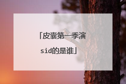 皮囊第一季演sid的是谁