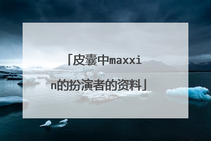 皮囊中maxxin的扮演者的资料