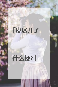 皮展开了 什么梗?