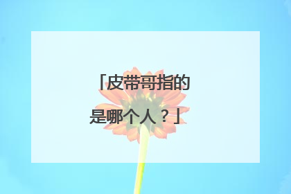 皮带哥指的是哪个人？