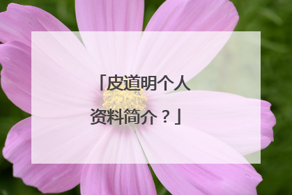 皮道明个人资料简介?