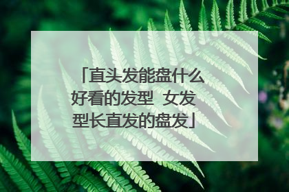 直头发能盘什么好看的发型 女发型长直发的盘发