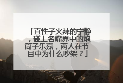 直性子火辣的宁静,碰上名嘴界中的炮筒子乐嘉,两人在节目中为什么吵架?
