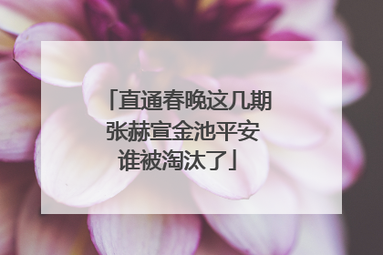 直通春晚这几期 张赫宣金池平安谁被淘汰了