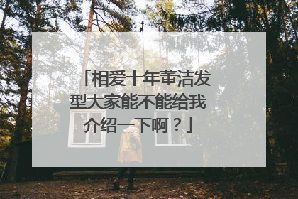 相爱十年董洁发型大家能不能给我介绍一下啊？