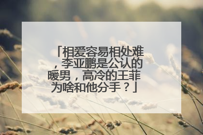 相爱容易相处难，李亚鹏是公认的暖男，高冷的王菲为啥和他分手？