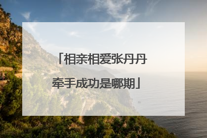 相亲相爱张丹丹牵手成功是哪期
