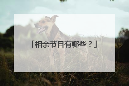 相亲节目有哪些？