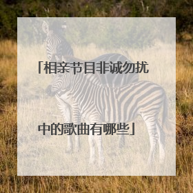 相亲节目非诚勿扰中的歌曲有哪些