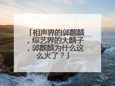 相声界的郭麒麟，综艺界的大麟子，郭麒麟为什么这么火了？
