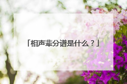 相声辈分谱是什么？