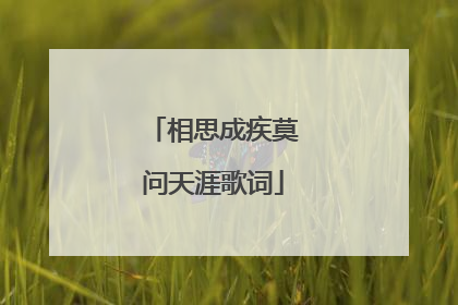相思成疾莫问天涯歌词