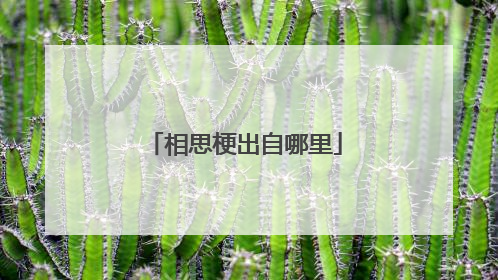 相思梗出自哪里