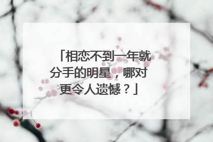 相恋不到一年就分手的明星，哪对更令人遗憾？