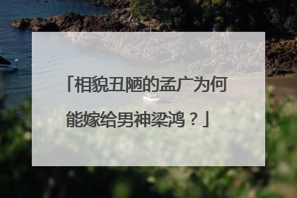 相貌丑陋的孟广为何能嫁给男神梁鸿？