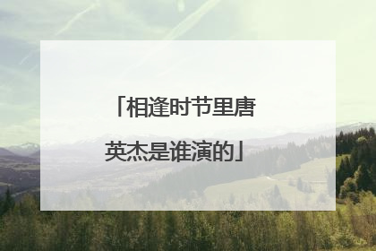 相逢时节里唐英杰是谁演的