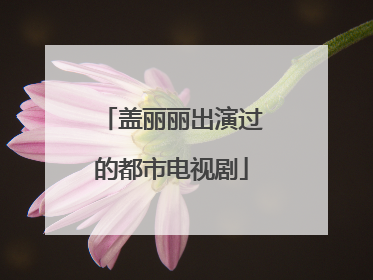 盖丽丽出演过的都市电视剧